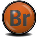 Adobe Bridge CS5 icon
